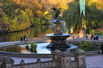 Central Park V