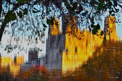 Reflection in Central Park II