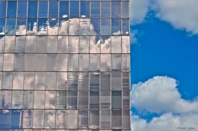 Windows V