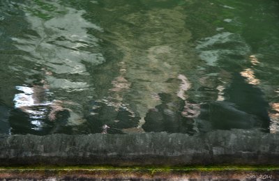 Chilling by the canal III
