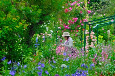 In Monet's garden IV