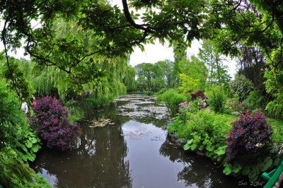 In Monet's garden VI