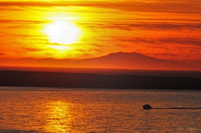 Boat in the sunset I