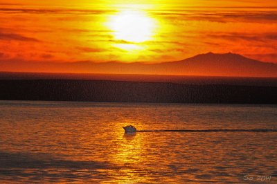 Boat in the sunset II