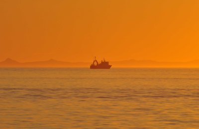 Trawler again