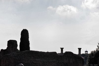 Skyline 