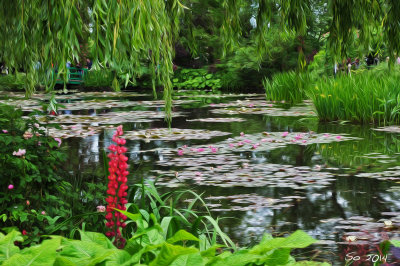 Flowers by pond