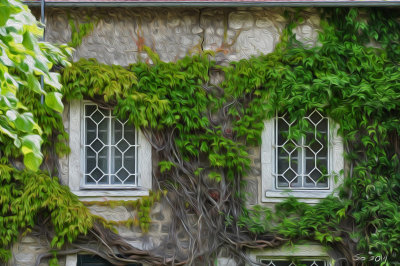 Monet's window