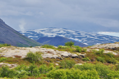 Skjaldbreiður mountain