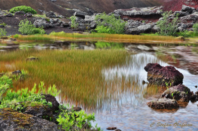 Pond at Rauðhólar