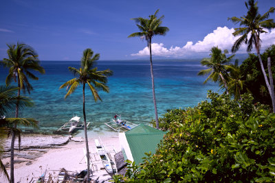 Apo Island