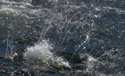 g9/12/1096012/3/156255843.AGJvtnlw.jpg