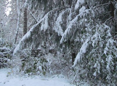 g9/12/1096012/3/156273635.XyOMzVB5.jpg