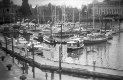 Dreamy Harbour