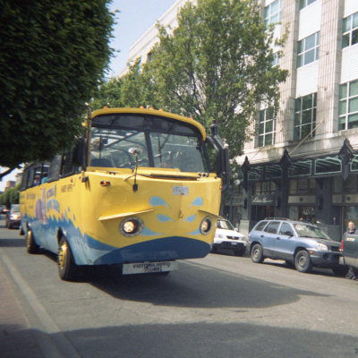 Hippo Bus