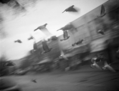g9/12/1117112/3/158475361.Nal7aVN3.jpg