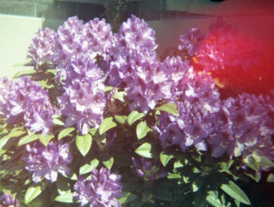 g9/12/1117112/3/163162020.zFy3Us9M.jpg