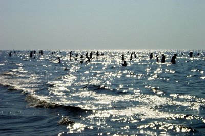 26.07.2014