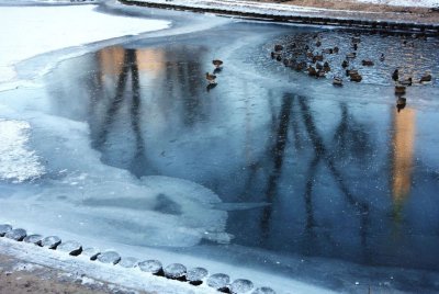 02.01.2016