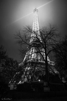 20161211_0811 Paris.jpg