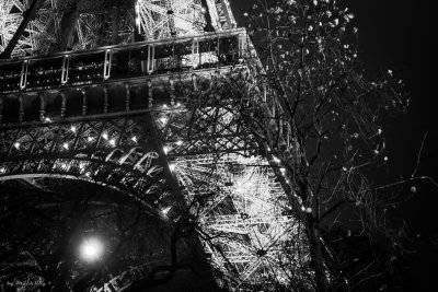 20161211_0847 Paris.jpg