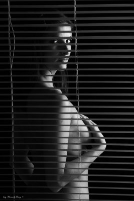 0905160269 LadyVes.jpg