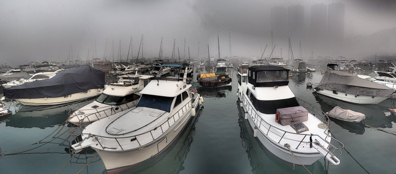 Heavy Fog Over the Typhoon Shelter