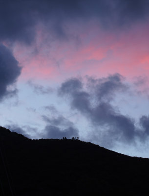 morning after a typhoon