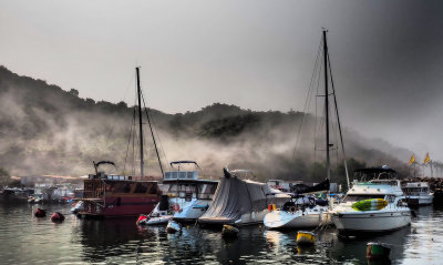 foggy morning in the Typhoon Shelter