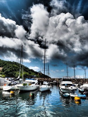 Typhoon Shelter Life