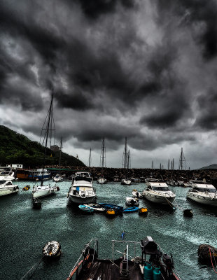 Facing the Typhoon