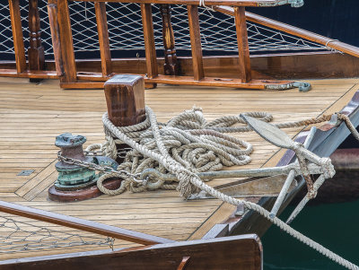 Anchor Watch in the Typhoon Shelter