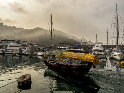 Foggy Morning in the Typhoon Shelter