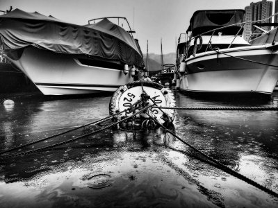 Another rainy day in the Typhoon Shelter