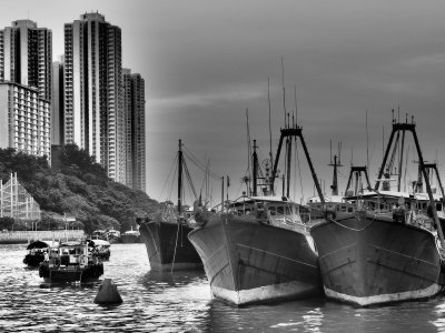 Fishing Trawlers, Aberdeen Typhoon Shelter, Hong Kong Island