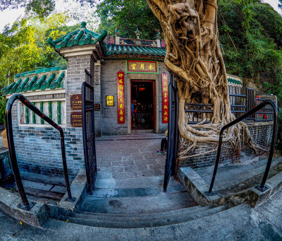 Ancient tree guards temple entrance, Ap Lei Chau, Hong Kong