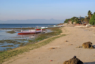 Kupang beach