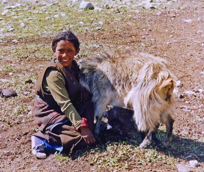 Girl and goat