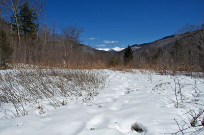 New England Landscape 2