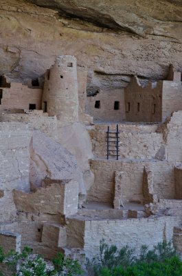 Cliff Palace #3