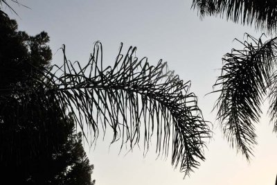 130703-8815.jpg