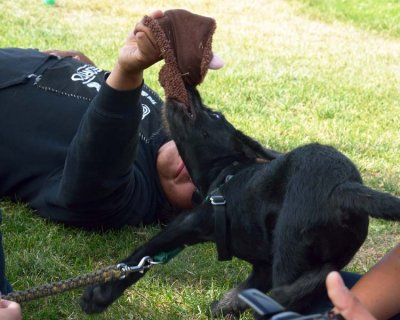 140621-7829.jpg