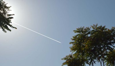 150509-6724.jpg