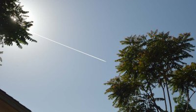150509-6725.jpg