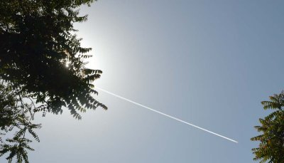 150509-6726.jpg