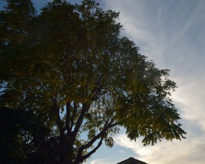 DSC_5109.jpg
