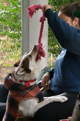 161015-0959.jpg