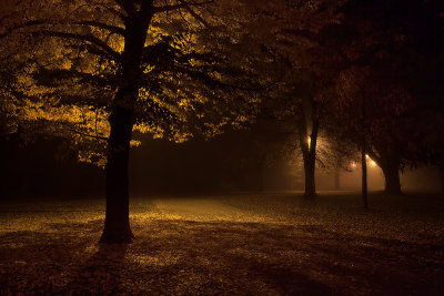 Park at night