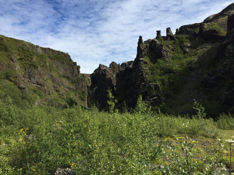 Skammt neðan fossanna í Núpsstaðaskógum