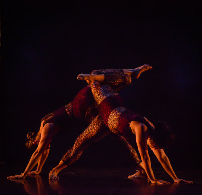 Celebrate Dance-3233.jpg